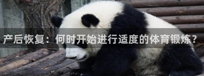 菲律宾ug环球官网