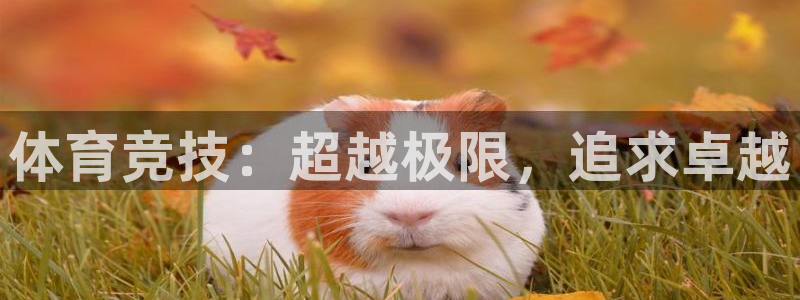 ug环球官网