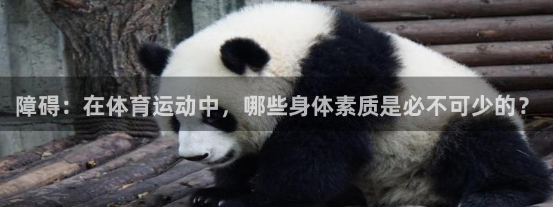 菲律宾ug环球官网